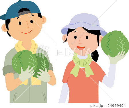 農業就労した若者が野菜を生産 24969494