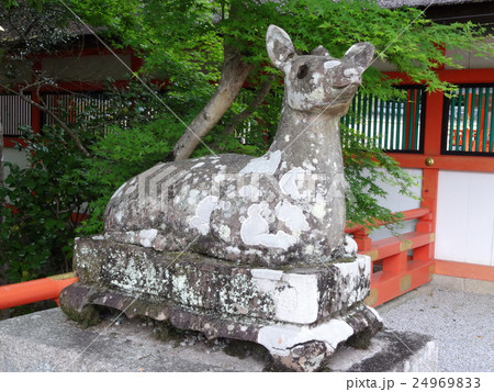 京都 大野原神社 京都 大野原神社 24969833