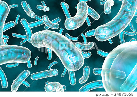3D render virus cells. 24971059