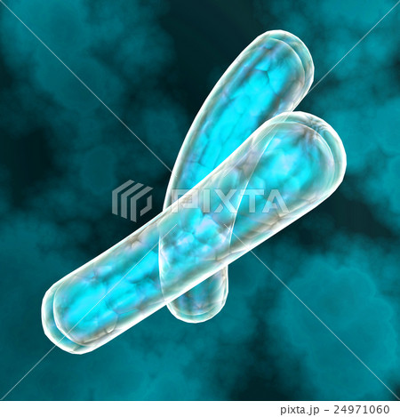 3D render virus cells. 24971060