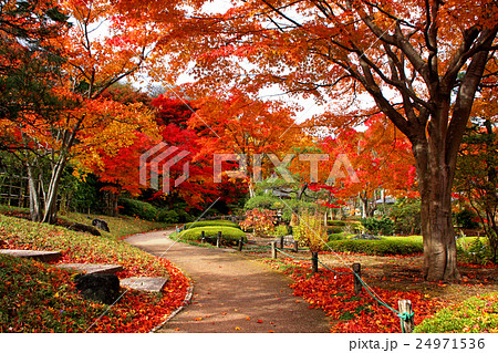 秋の翠楽苑 24971536