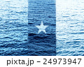 カメルーン共和国国旗 24973947