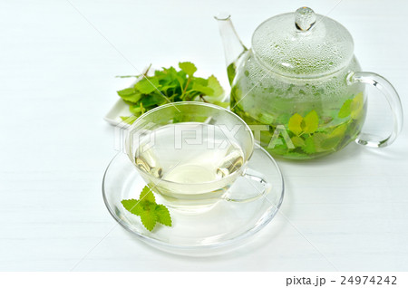 ミントティー／ハーブティー（自宅花壇で摘んだミントの葉を使用） 24974242