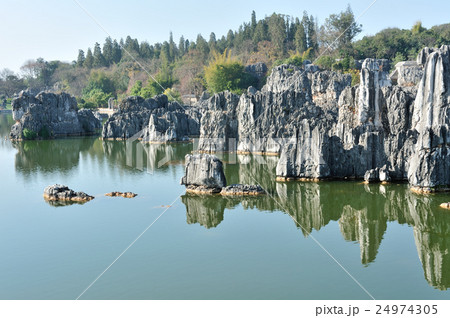 中國雲南省石林の風景 24974305