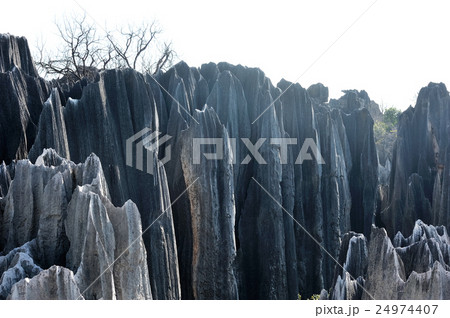 中國雲南省の石林風景 24974407