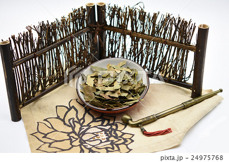 漢方 東洋医学 枇杷の葉 24975768