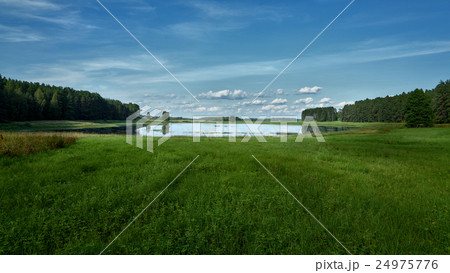 panorama of summer lake on the background forest panorama of summer lake on the background forest 24975776
