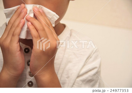 鼻をかむ男の子 24977353