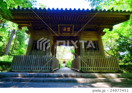 龍潭寺の仁王門 龍潭寺の仁王門 24977451