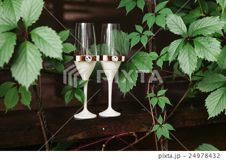 Wedding glasses on the background of the vine. Wedding glasses on the background of the vine. 24978432