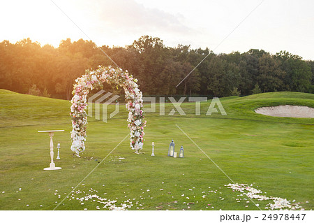 Floral arch on the green field 24978447