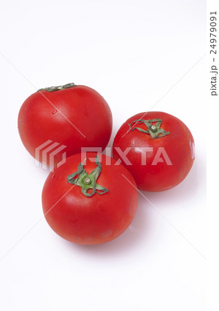 トマト　野菜 24979091