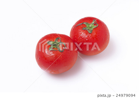 トマト 野菜 トマト 野菜 24979094
