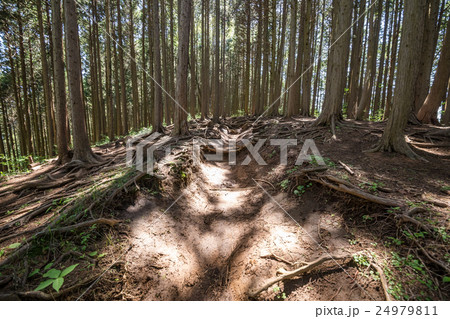 堂所山から明王峠へ・登山コース 24979811