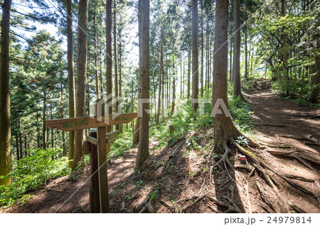明王峠から陣馬山へ・登山コース 24979814