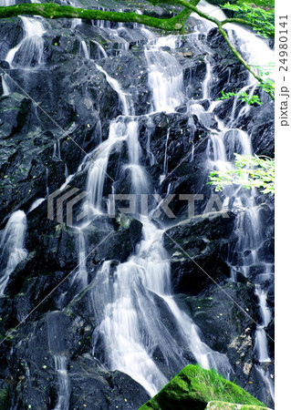 江竜田の滝（えりゅうだのたき） 24980141