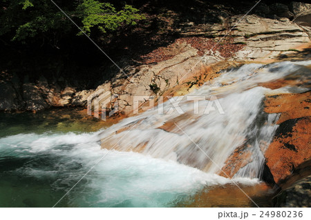 笹の滝渓谷 24980236