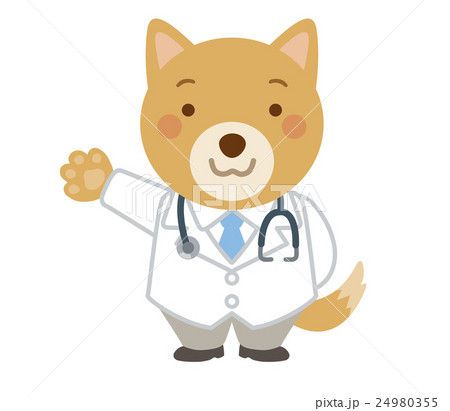 医者　犬　獣医　イラスト 24980355