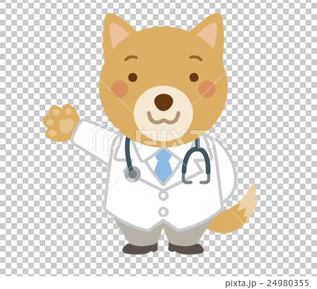 医者　犬　獣医　イラスト 24980355