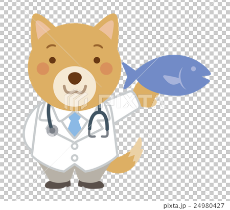 Doctor dog Veterinarian illustration Doctor dog Veterinarian illustration 24980427