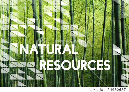 Nutural Environment Resources Nature Plants Concept Nutural Environment Resources Nature Plants Concept 24980677