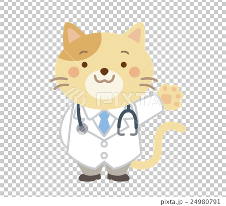 Veterinary cat illustration 24980791
