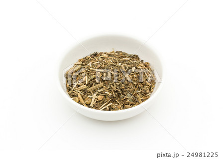 フィーバーフュー: Feverfew 24981225