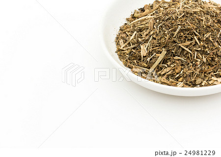 フィーバーフュー: Feverfew 24981229