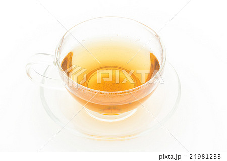 フィーバーフューティー: Feverfew tea 24981233