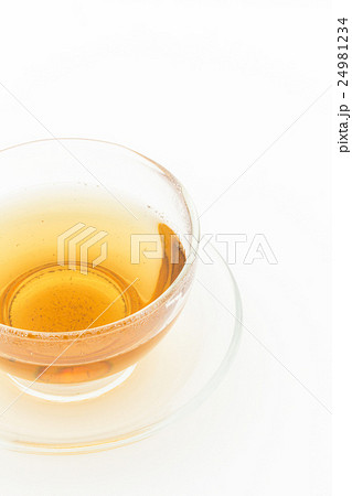 フィーバーフューティー: Feverfew tea 24981234