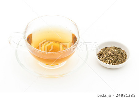 フィーバーフューティー: Feverfew tea 24981235