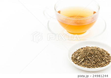 フィーバーフューティー: Feverfew tea 24981244