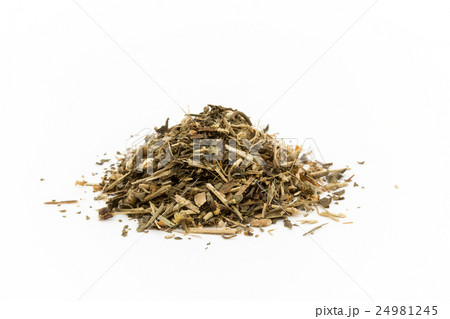 フィーバーフュー: Feverfew 24981245