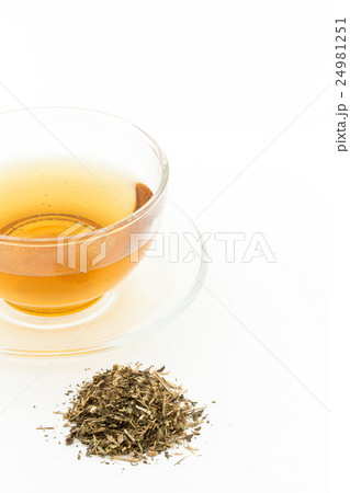 フィーバーフューティー: Feverfew tea フィーバーフューティー: Feverfew tea 24981251