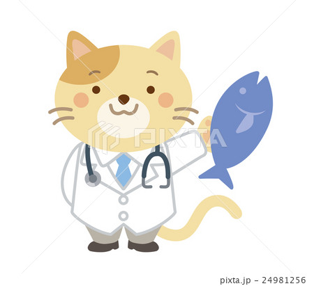 獣医　ネコ　イラスト 24981256