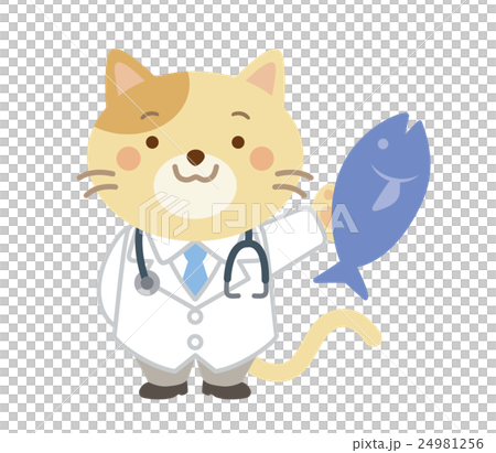 獣医　ネコ　イラスト 24981256