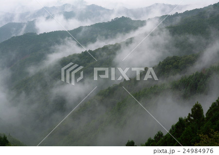 世界遺産　紀伊山地の山並み 24984976