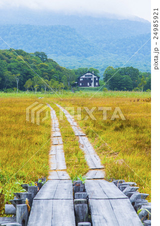 木道と山荘 木道と山荘 24985921