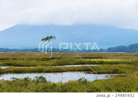 尾瀬ヶ原の池塘 24985932