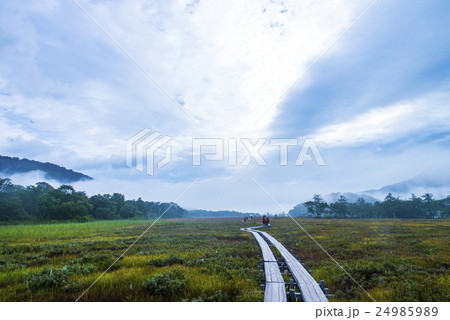 尾瀬ヶ原の木道を歩く 尾瀬ヶ原の木道を歩く 24985989