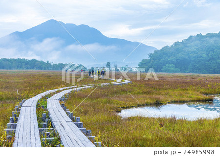 尾瀬ヶ原と燧ケ岳 尾瀬ヶ原と燧ケ岳 24985998