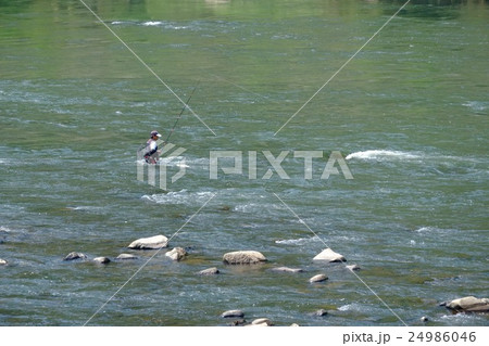 広島県の江の川での鮎釣り 24986046