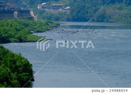 島根県の江の川 24986054