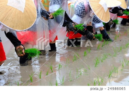 広島県安芸高田市の原田はやし田 24986065