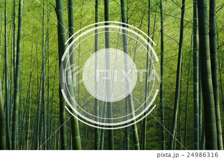 Camera Lens Image Photography Graphic Concept Camera Lens Image Photography Graphic Concept 24986316
