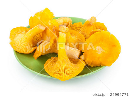 Yellow chanterelles on plate Yellow chanterelles on plate 24994771