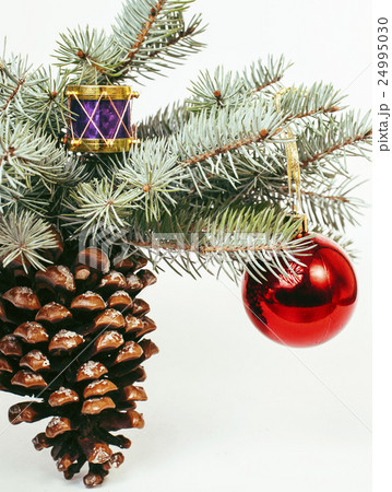 christmas decoration isolated , white background christmas decoration isolated , white background 24995030