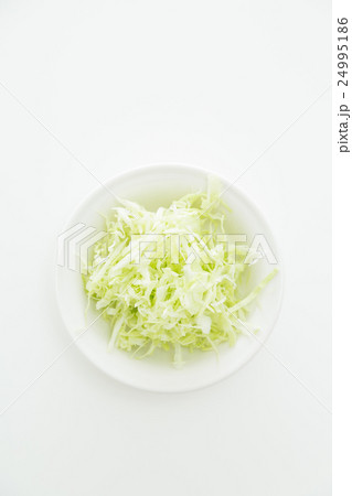キャベツの千切り　白バック 24995186