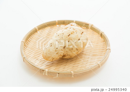 大和芋 白バック 大和芋 白バック 24995340