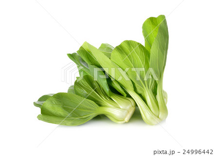 fresh baby Bok choy (Chinese cabbage) on white 24996442